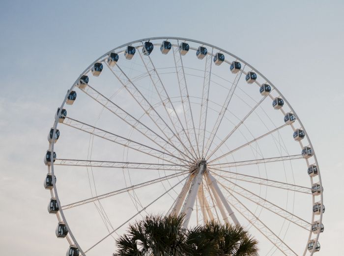 The image features a Ferris wheel against a clear sky with palm tree foliage partially visible in the foreground, creating a scenic view.