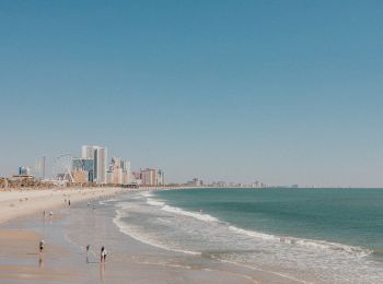 A beach with a few people walking along the shoreline, with a cityscape and Ferris wheel in the background, under a clear blue sky.